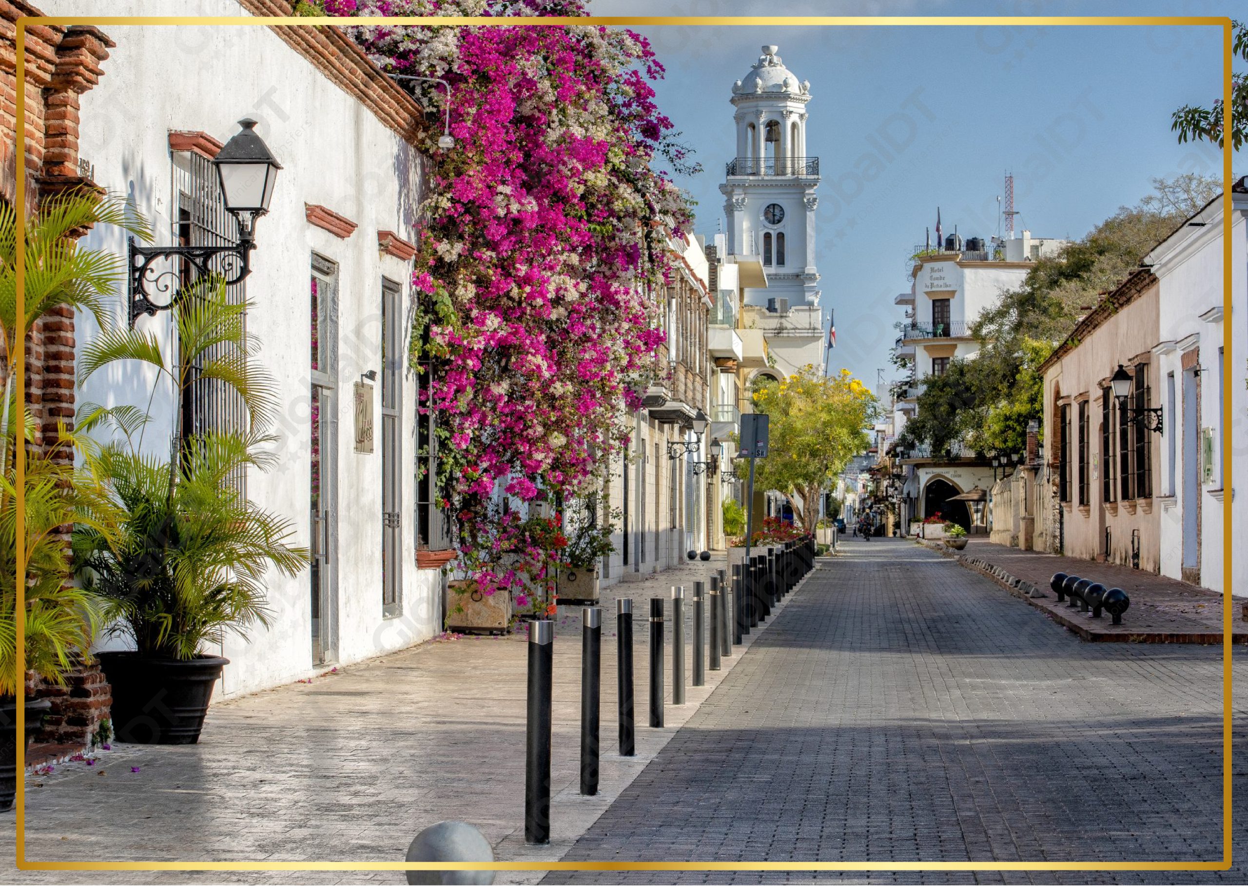 Cobblestone colonial street with bougainvillea flowers and white church tower in Santo Domingo