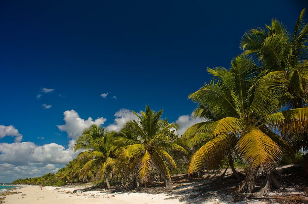 Aguas turquesas poco profundas ideales para snorkel en Isla Catalina