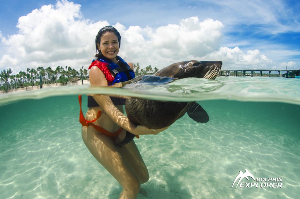Smiling woman holding a sea lion in shallow turquoise water with split view