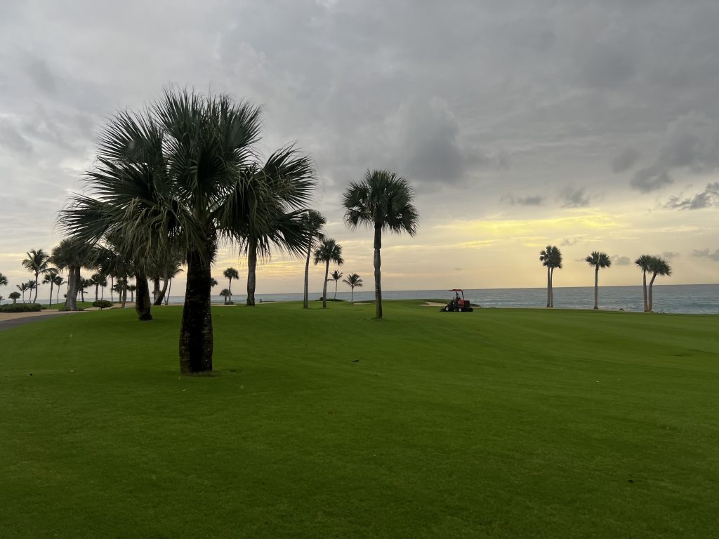 Palm trees beside a green coastal lawn at sunset with the ocean in the background
