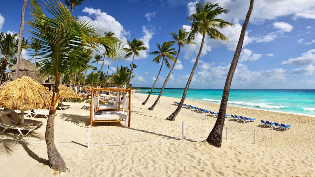 Palm-lined white sand beach in Bávaro, Punta Cana